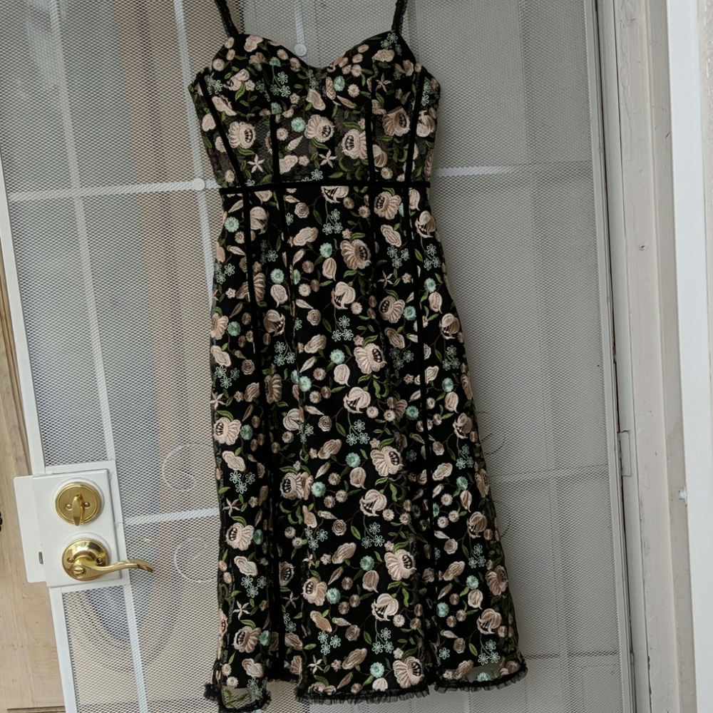 Gorgeous embroidered dress by Topshop